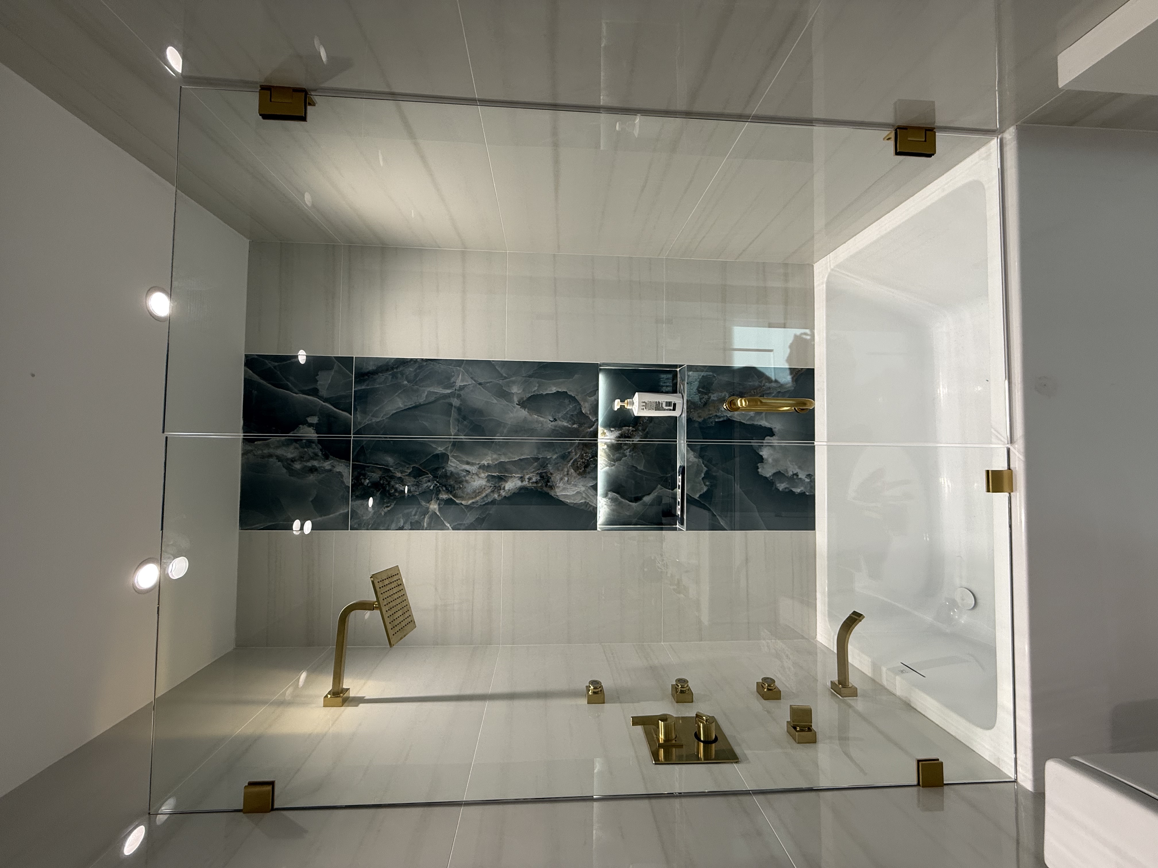 Door + Panel shower door installation in Brooklyn